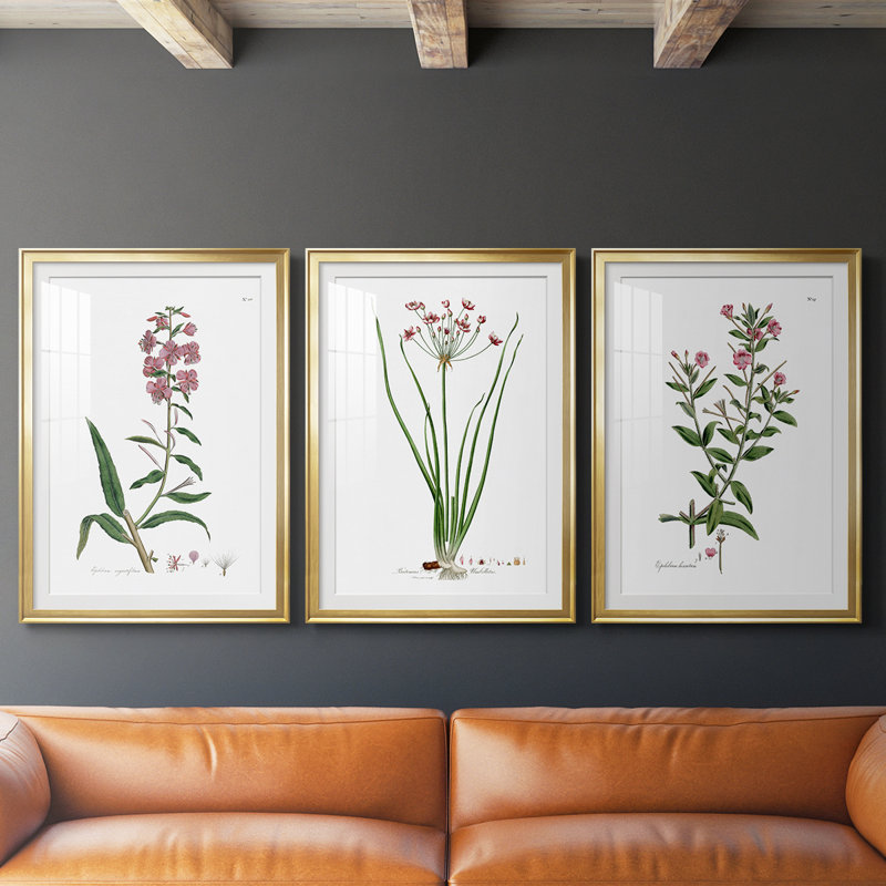Rose Botanical I - reproduction sur mesure encadrée de qualité supérieure - 3 pièces, H 19 po x l 27 po, Doré