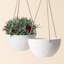Boxdale Hanging Planter - Set of 2-650146792-650146796