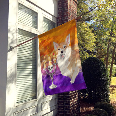 Drapeau de maison en polyester 40 x 28 po Hallween