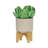 S/2 5/8" PLANTER W/ WOOD STAND
