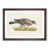 Walnut Framed selected