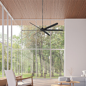 Rachna Ceiling Fan with Light Kit