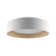Carruthers LED Flush Mount