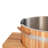 Anyi 110 Volt 2 - Person Red Cedar Oval Plug Plus Ice Tub