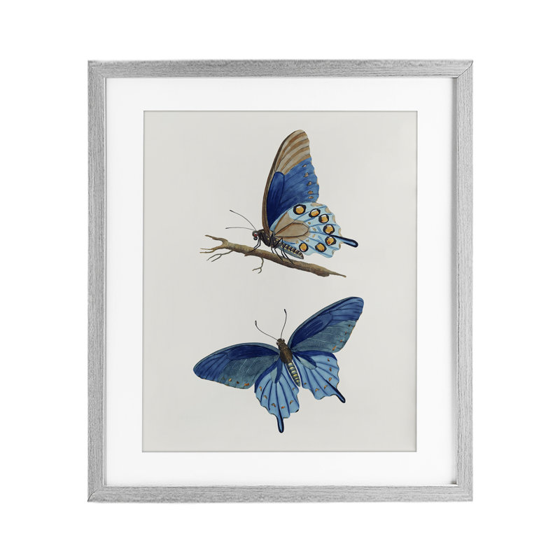 Paire de papillons bleus, reproduction sous verre, conception par Arlington Prints, Cadre de ferme gris, H 16 po x l 13 po
