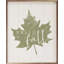 Hello Hello Leaf - blanc-1339549381