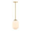 Luminaire suspendu simple à 1 lumière Kiani-157171229