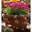 Ensemble de 3 pots pour chien