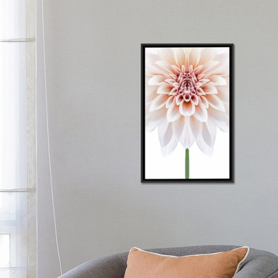 Alyson Fennell - Wrapped Canvas Graphic Art