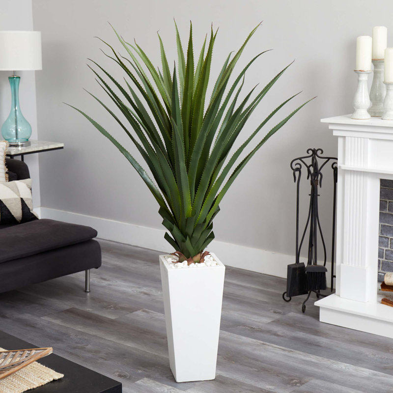 40" spiky agave ficus plante en tour