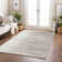 Machine Washable Indoor/Outdoor Chayden ACN1050 Rust Rug
