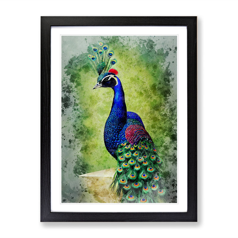 Peacock No.1 - Framed Print, Black, 64cm H x 46cm W x 2cm D