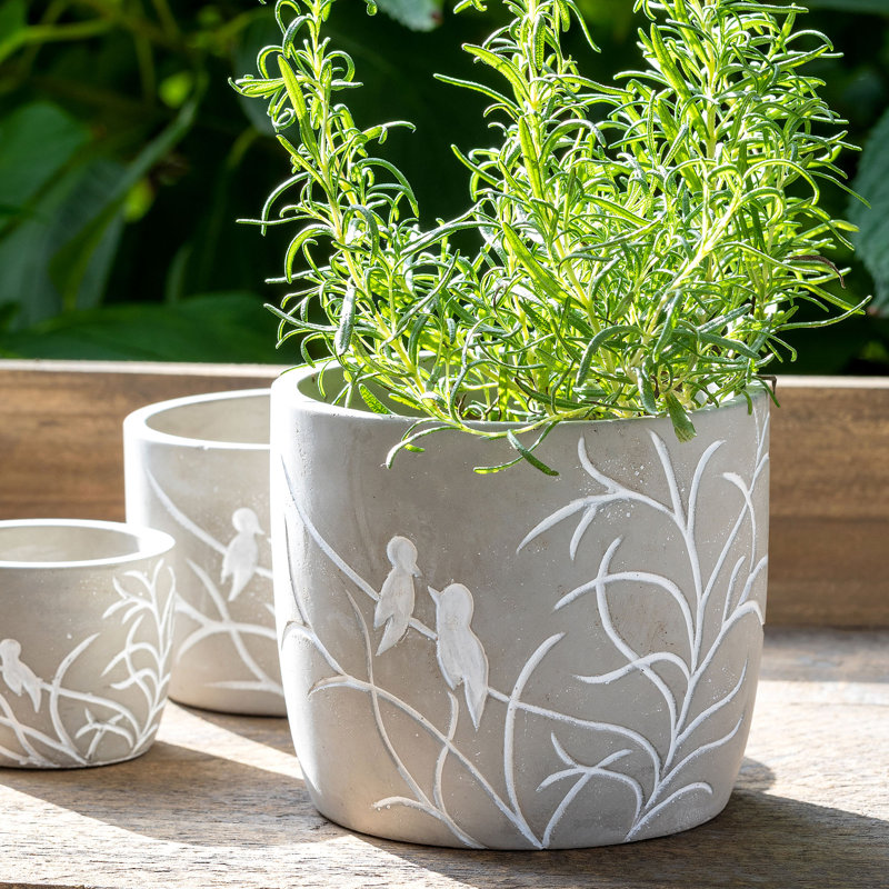 Planter, 4.75" H x 5.5" W x 5.5" D