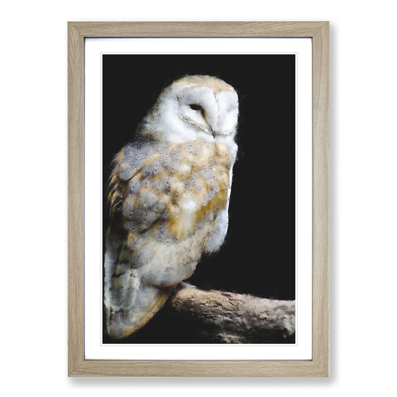 Barn Owl Vol.3 - Picture Frame Painting, 65cm H x 48cm W x 2cm D, Oak Framed