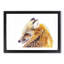 Red Fox in Winter - Framed Print-56758814-56758817