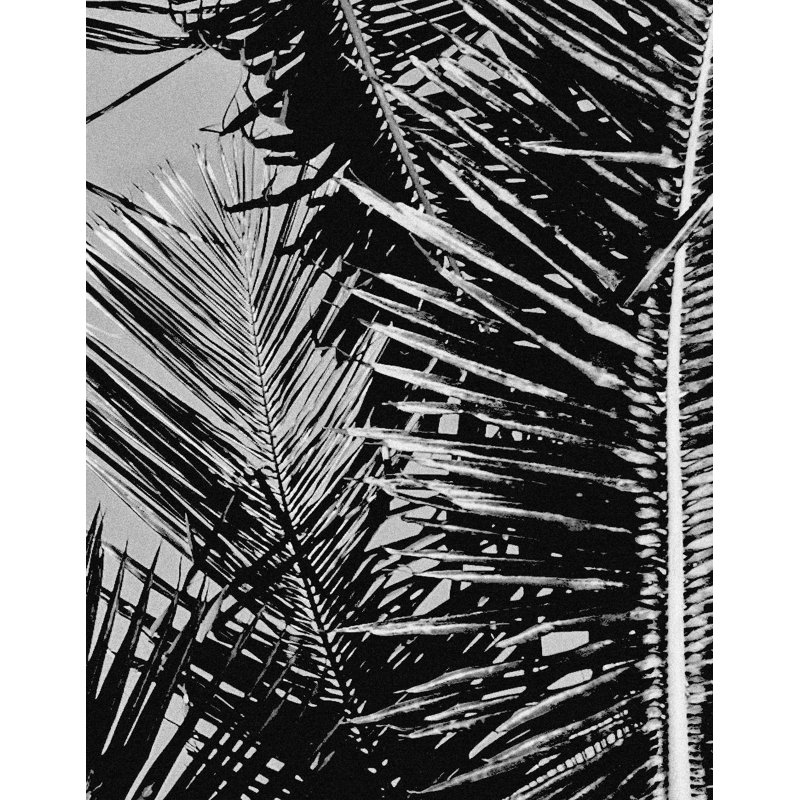 Denney Peel & Stick Wall Mural, 12" H x 9" W