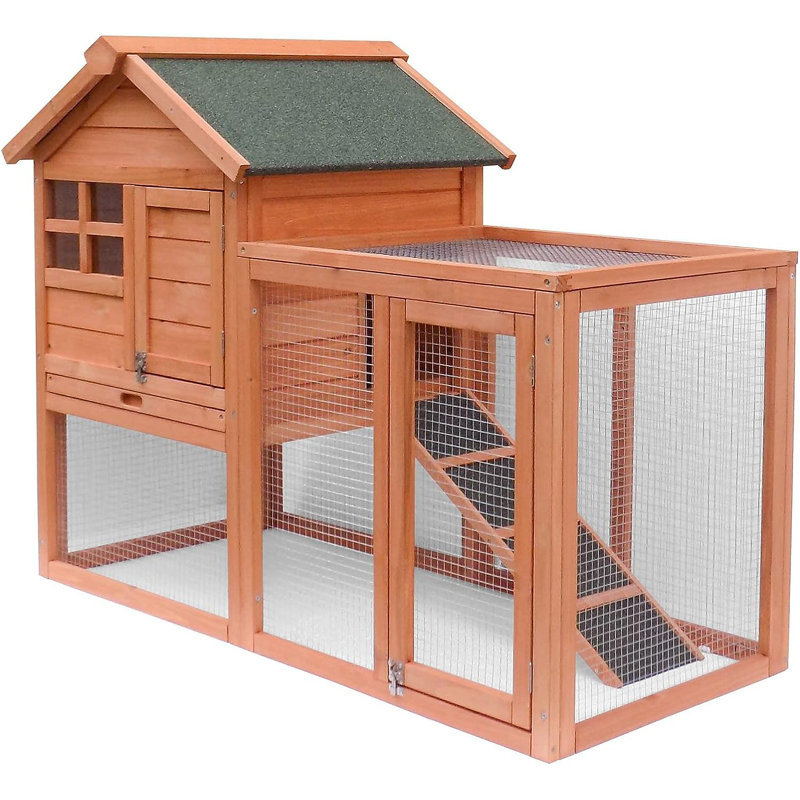 Poulailler 100 pieds carrés Deadeira, H 36,22 po x l 48 po x P 24,80 po