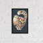 Patapoufette par Kim Haskins-impression d’art graphique-49715708-49715727