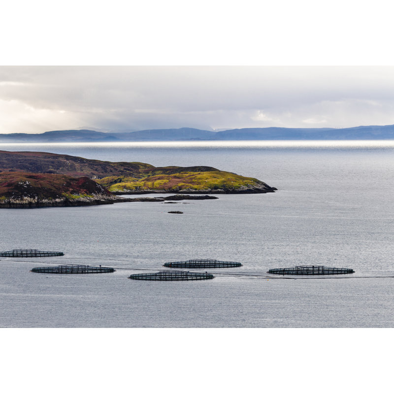 Fish Farm by Lucentius - No Frame Print on Canvas, 61cm H x 91cm W