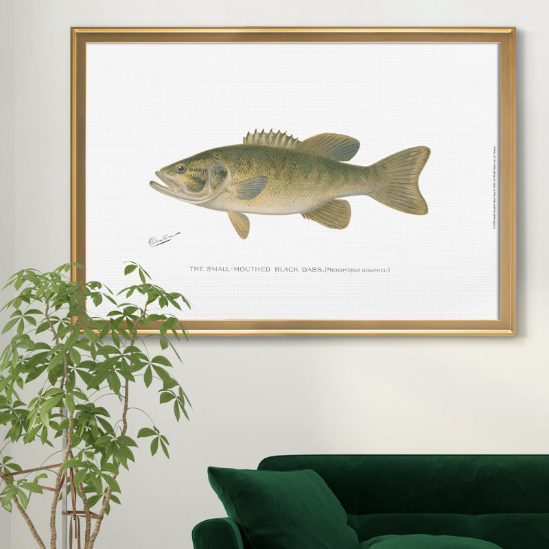 Petite basse noire - reproduction de cadre photo sur toile, H 26,5 po x l 36,5 po x P 1,5 po, Doré