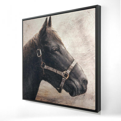 «Gallopin le cheval brun»