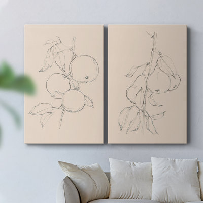 «Fruit Contour Study I», toile tendue avec châssis - Prêt à accrocher