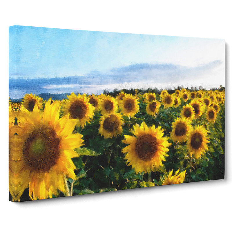 Sunflowers - Wrapped Canvas Print, 35cm H x 76cm W x 3cm D