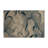 Nature Gray Indoor and Outdoor Area Rug-1008214850