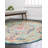 Pennylane Oriental Indoor Rug-1884070722