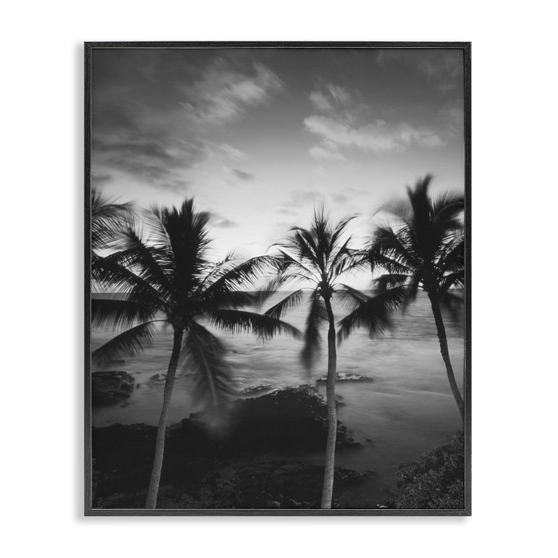 Palmier de la côte, photographie giclée, design par Carol Robinson, H 14 po x l 11 po, Giclée encadrée noir minuit