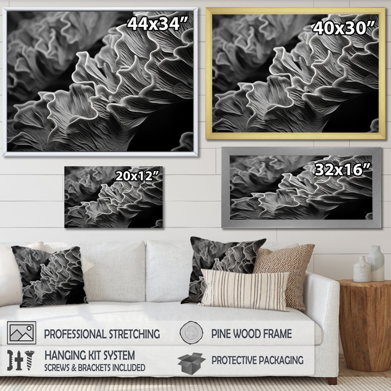 Impression sur toile «Black and White Coral Anemone», plage et océan, H 16 po x l 32 po x P 1 po, Cadre simple noir