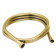 Polished Brass