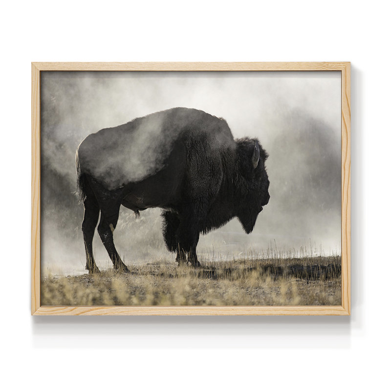 Geyser Basin - Reproduction encadrée - Restickable, Naturel, H 11 po x l 14 po