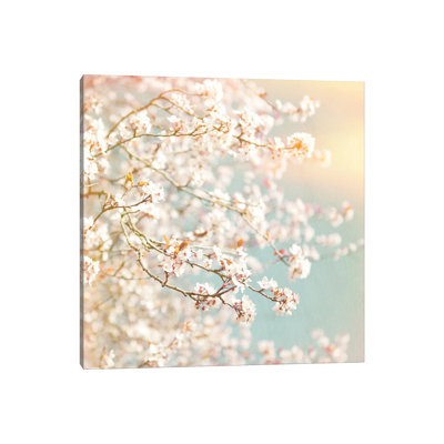 Sunlit Blossom - Wrapped Canvas Print