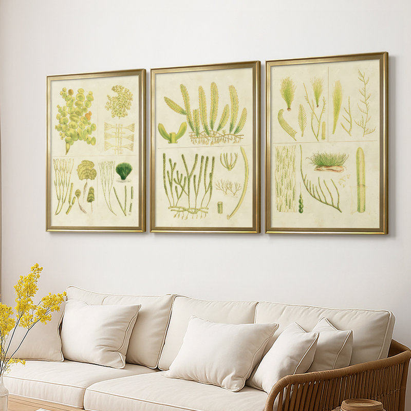 Vintage Sea Grass IV - Toile tendue avec châssis sur mesure - 3 pièces, H 21 po x l 30 po, Doré