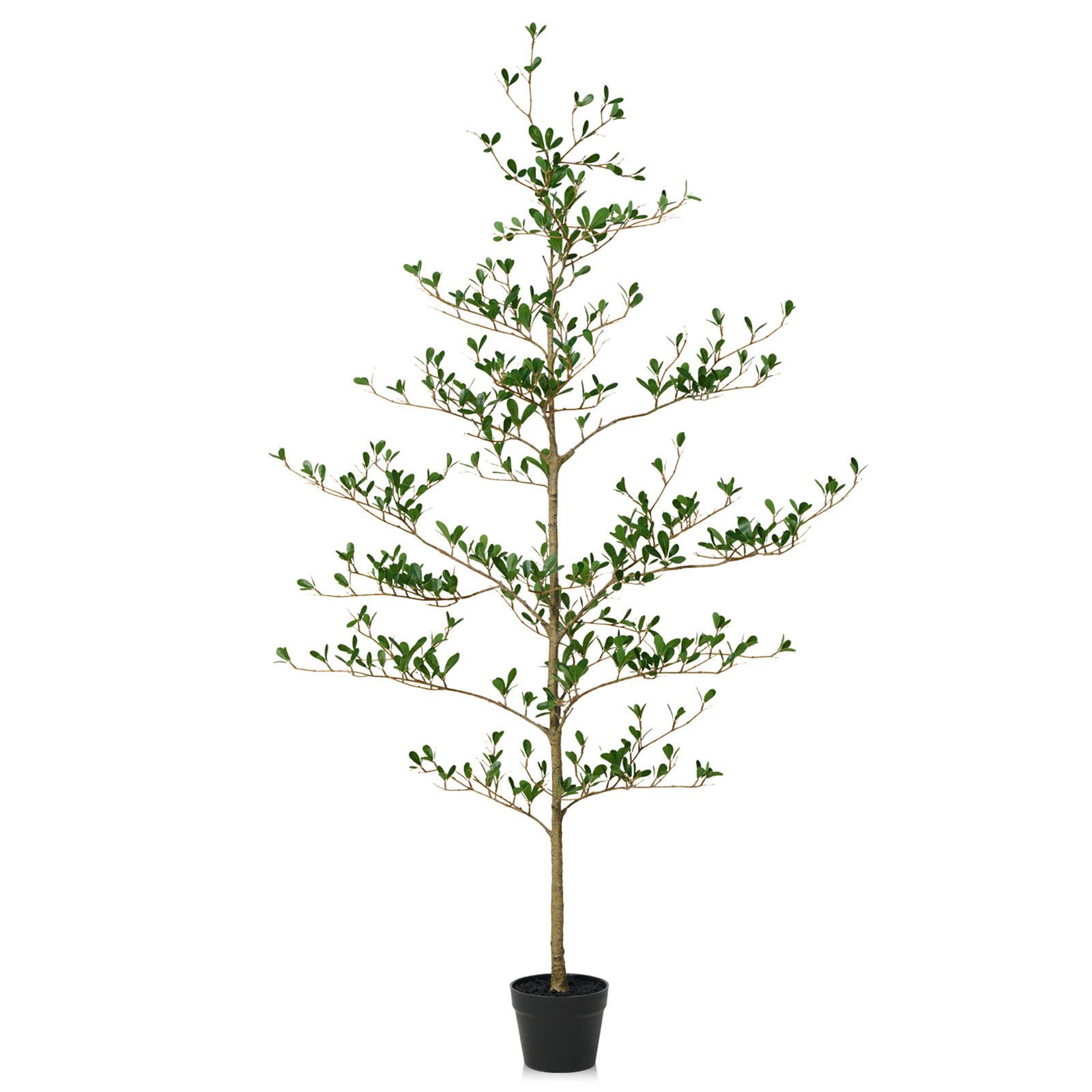 Adcock 84" Olive Tree in Pot, 60" H x 20" W x 20" D