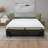 Bellinda Italian 81" Modern Stain and Abrasion Resistant Performance Fabric Queen Size Sleeper Square Arm Sofa Bed with Adjustable Headrests-59051729