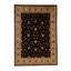 Oriental Area Rug