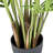 Artificial Areca Phoenix Palm Tree in Black Pot-1191467263