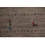 Tapis tribal animaux Gabbeh