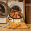 Tapis lavable à la machine Wilkerson Paella-708980