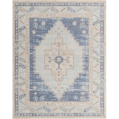 Matthei Oriental Indoor Rug