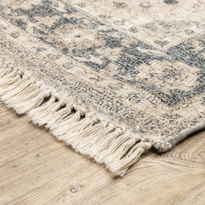 Hadden Oriental Indoor Rug, Rectangle 5' x 8'
