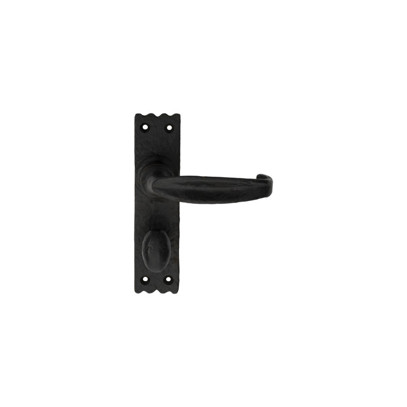 Williston Bathroom Door Handle
