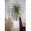 Cilindro Resin Pot Planter-49174848-49174860