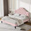 Wiedeman Velvet Bed-7142854-231304769
