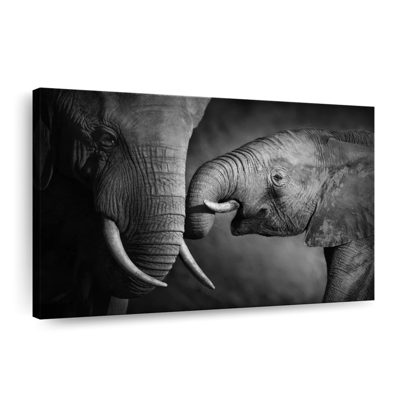 Elephant Affection Canvas Print, 16" H x 24" W x 1.25" D