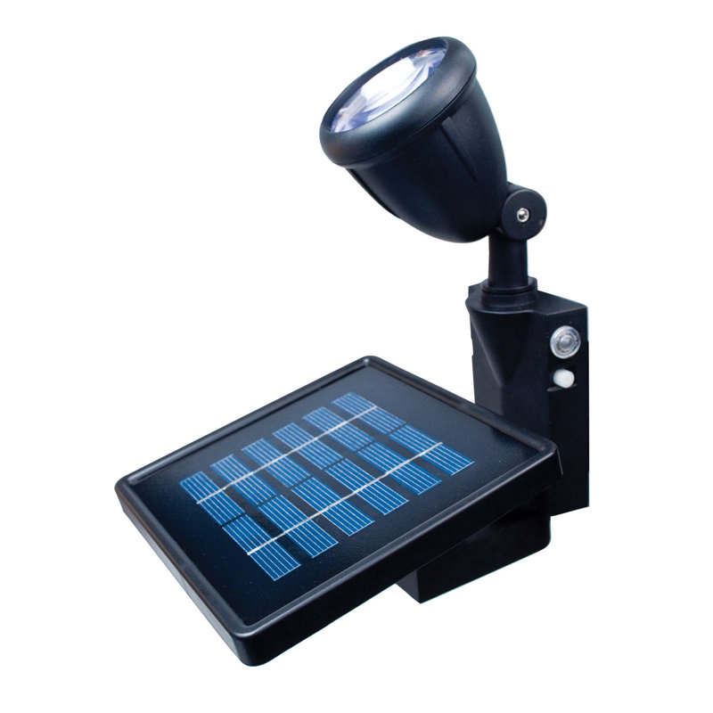 Bernd Solar Power Dusk to Dawn Outdoor Security Spot Light
