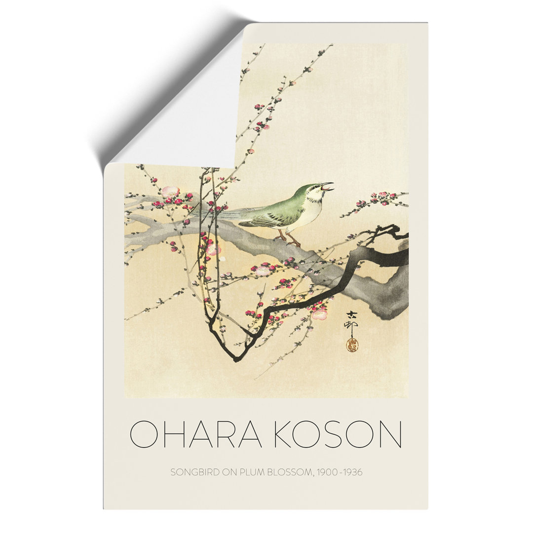 Songbird in a Plum Blossom Tree Print by Ohara Koson - Frameless Print