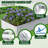 Valerton 8X4X1.5 ft Galvanized Keyhole Composting Raised Garden Bed-1560142817